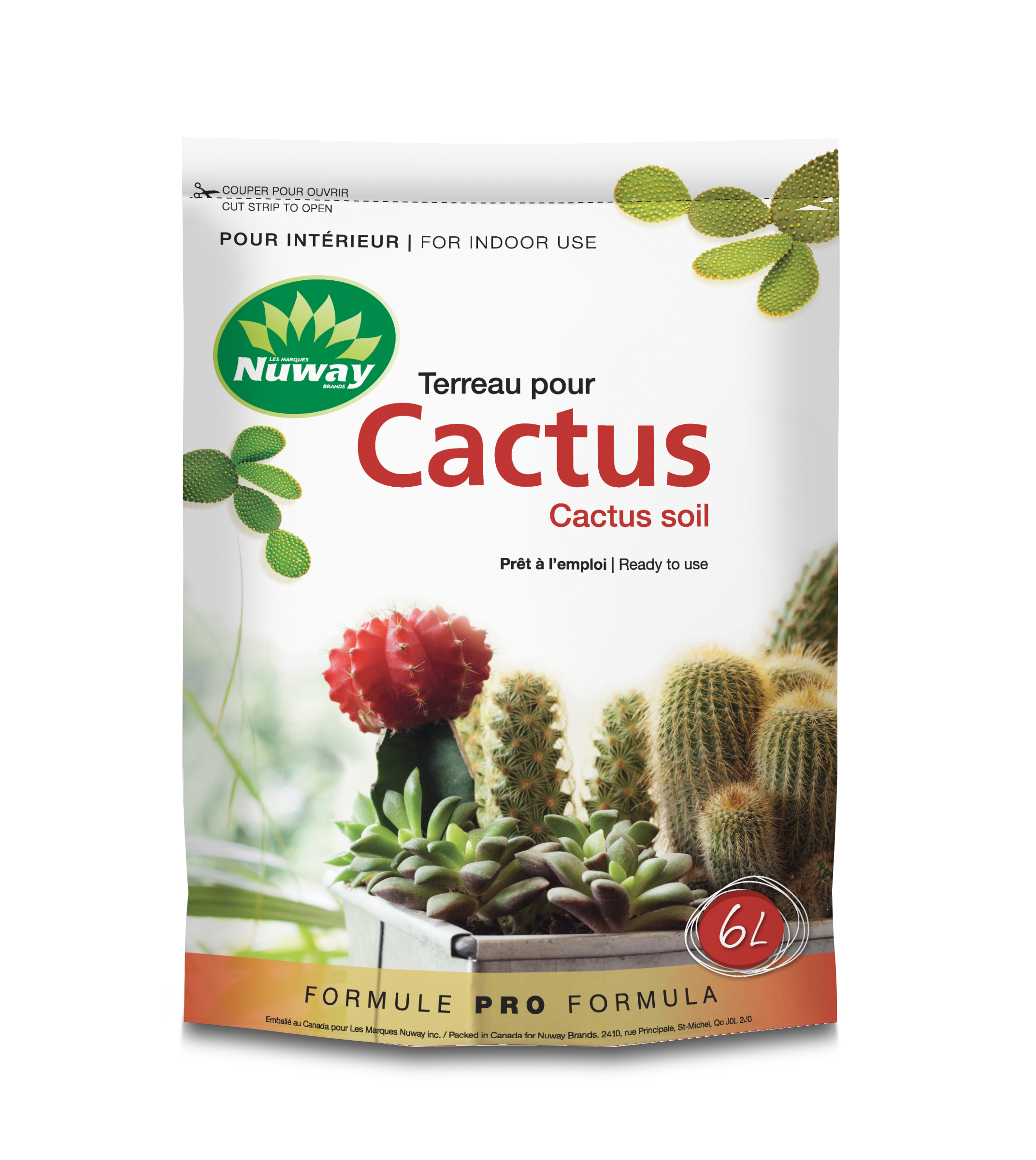 Terreau pour Cactus Nuway - Les sols Isabelle